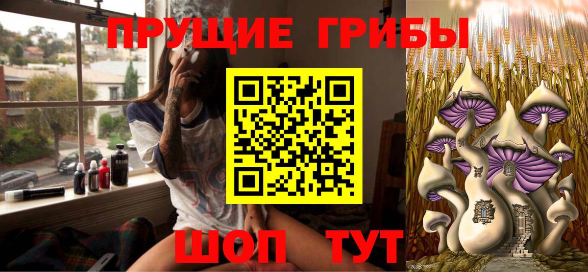 Галлюциногенные грибы мицелий  цена наркотик  Новоалександровск  Вход с VPN 