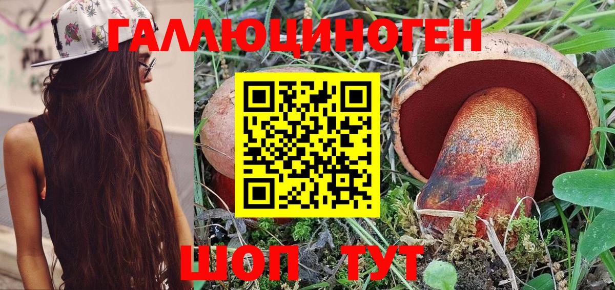 Псилоцибиновые грибы мицелий Новоалександровск